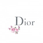 Dior, illustrated by Martine Brand